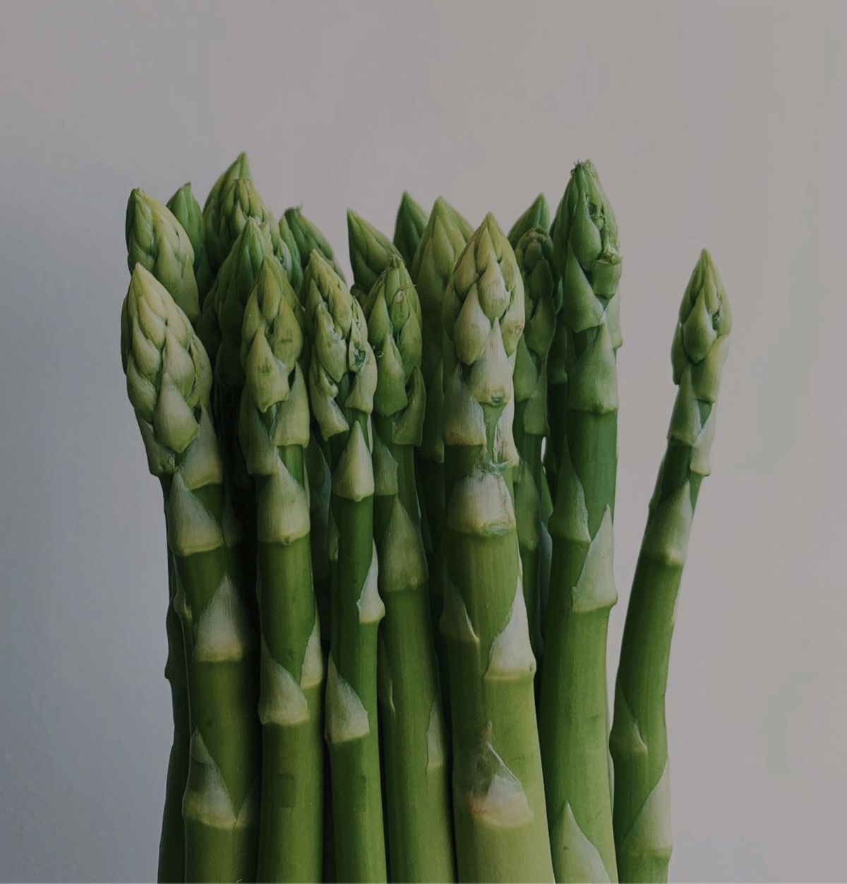 fresh organic asparagus